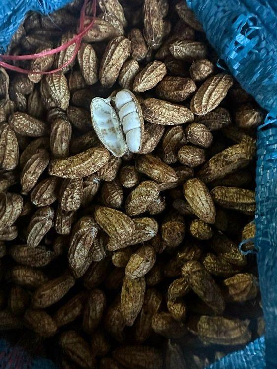 Đậu phộng tươi Đà Lạt