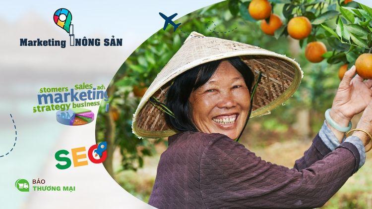 Dịch vụ Marketing Seo Top Google tại địa phương