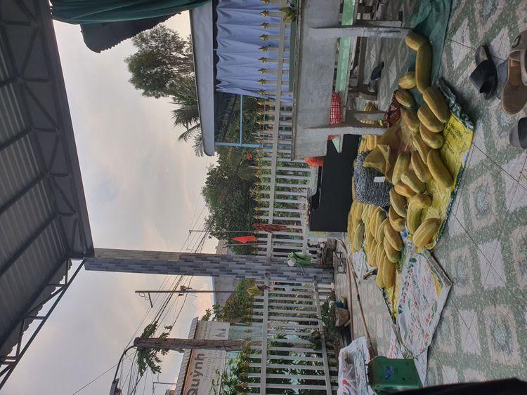 Cần bán dưa gang 