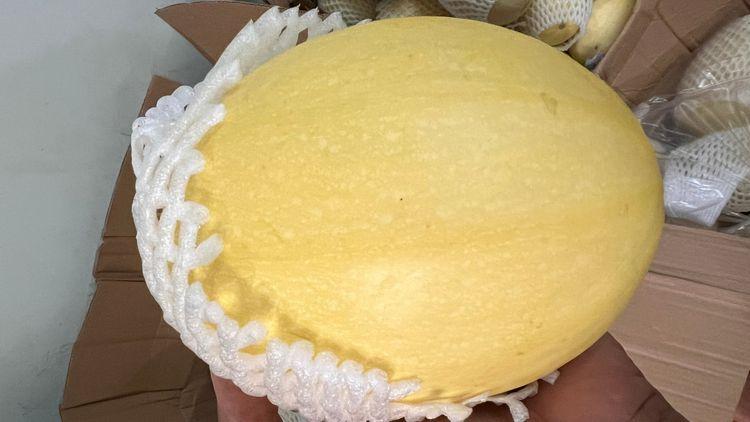 Bí sợi mì sản phẩm được yêu thích nội địa và xuất