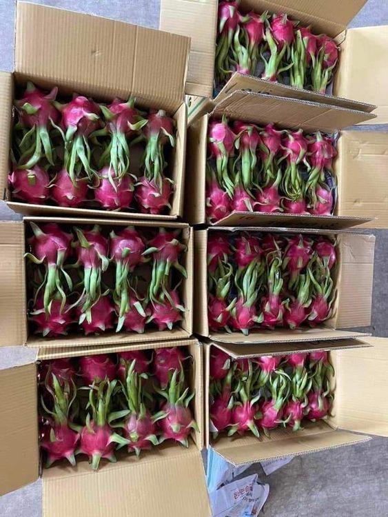 thanh long ruột trắng ,đỏ bình thuận