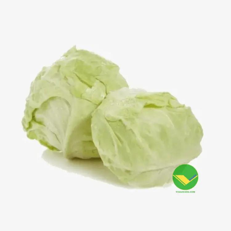 Bắp cải tươi vikafoods