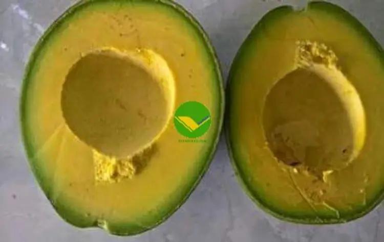 Bơ đông lạnh Vikafoods