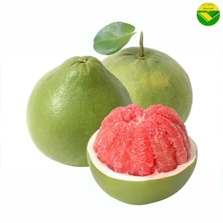 Bưởi tươi vikafoods