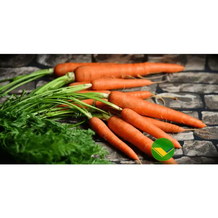Cà rốt tươi vikafoods