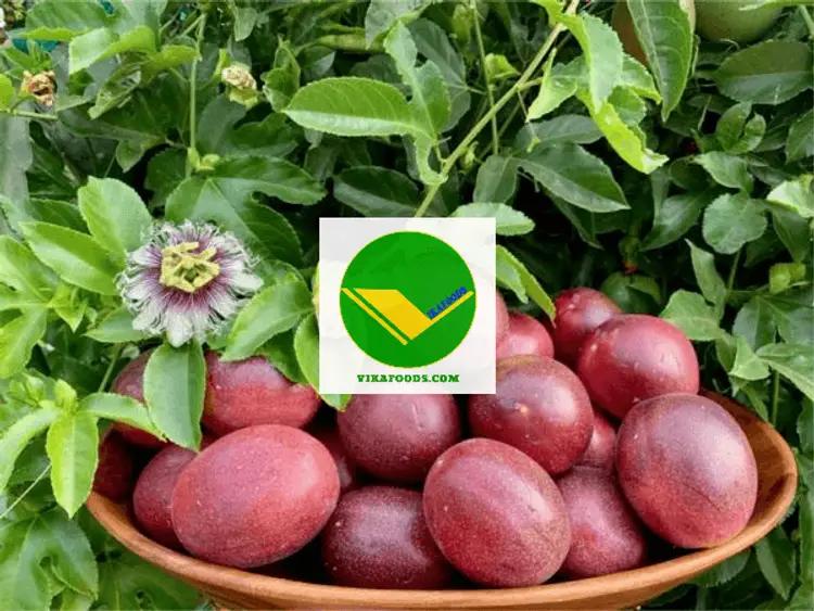 Chanh dây Vikafoods