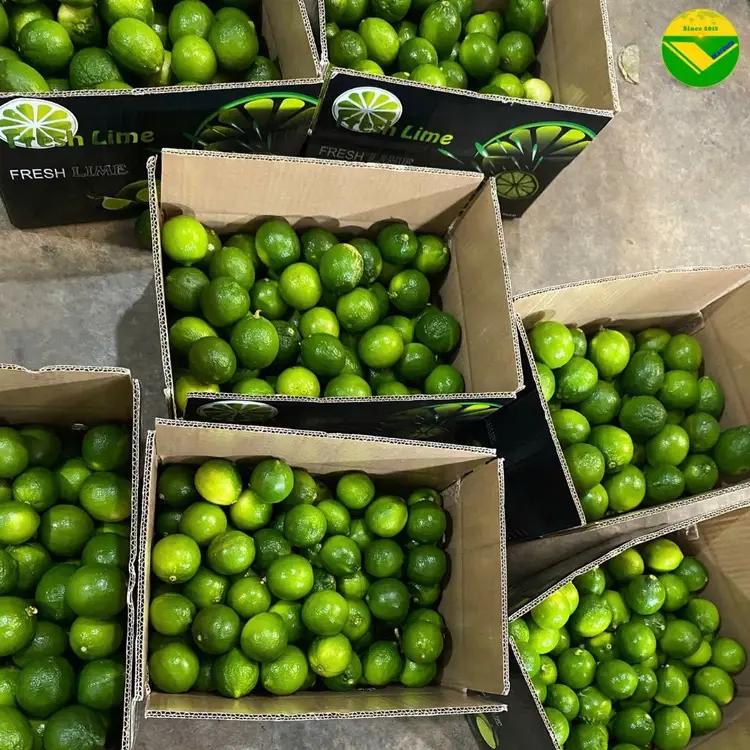 Chanh không hạt vikafoods