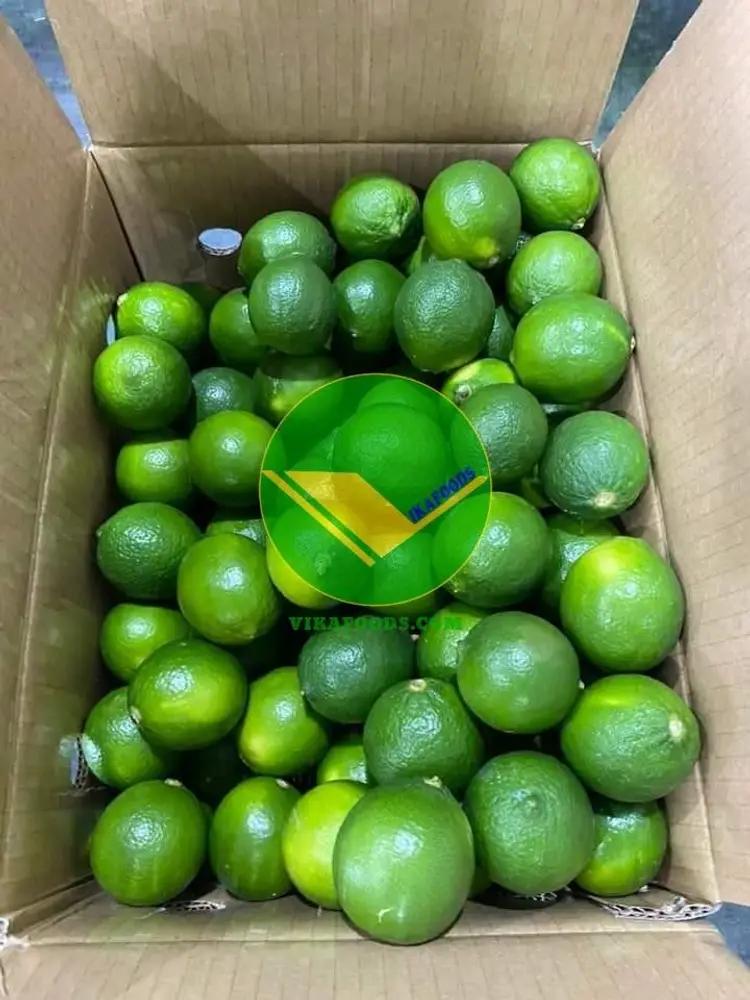 Chanh không hạt Vikafoods