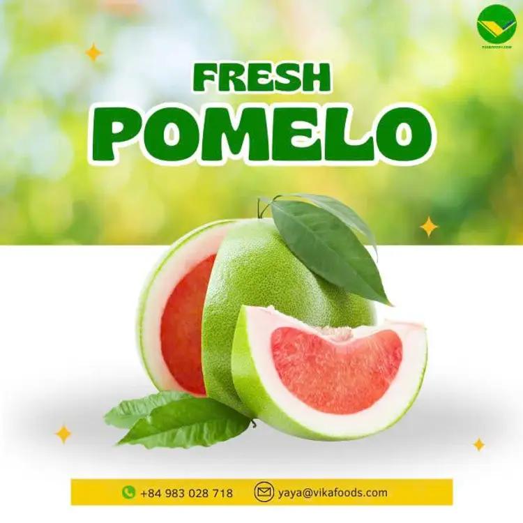 Cung cấp bưởi tươi ngon