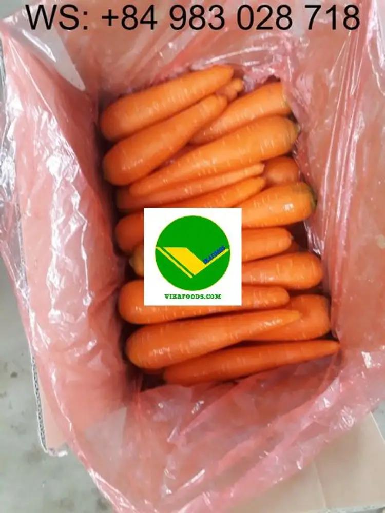 Cung cấp cà rốt tươi ngon