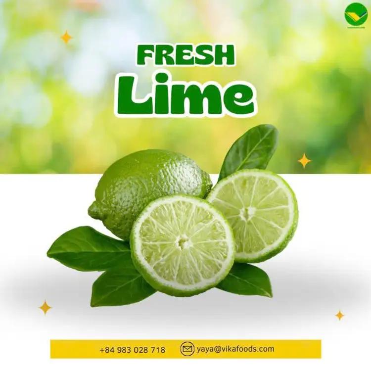 Cung cấp chanh không hạt tươi mát