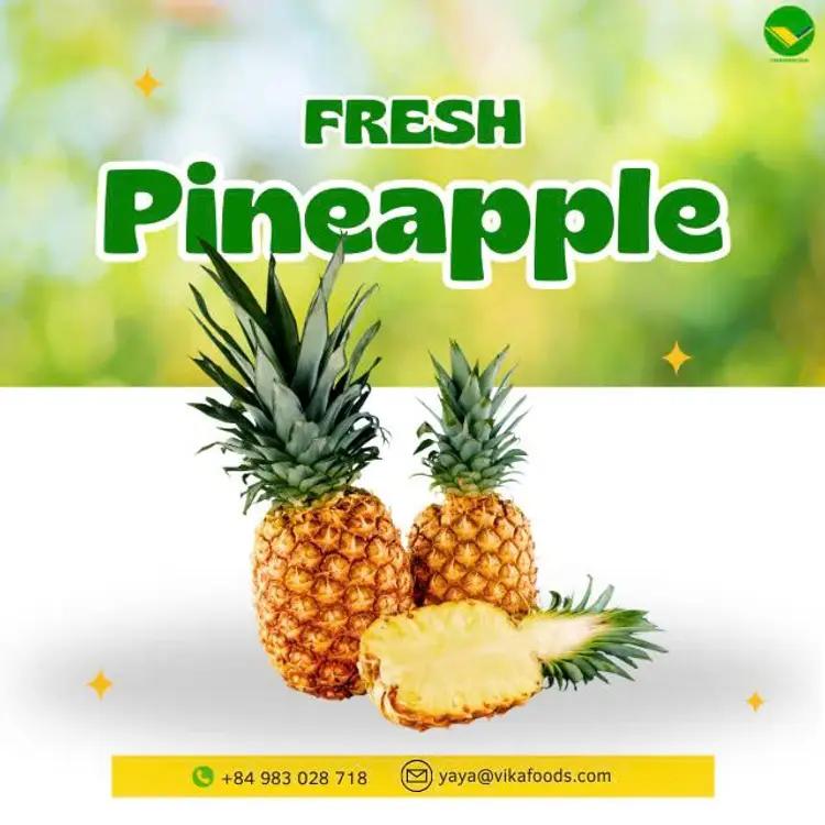 Dứa tươi thơm ngon Vikafoods