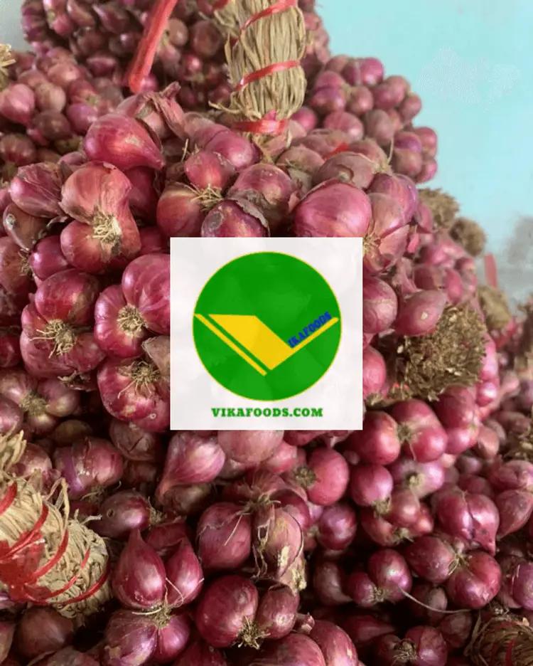 Hành củ tươi ngon Vikafoods