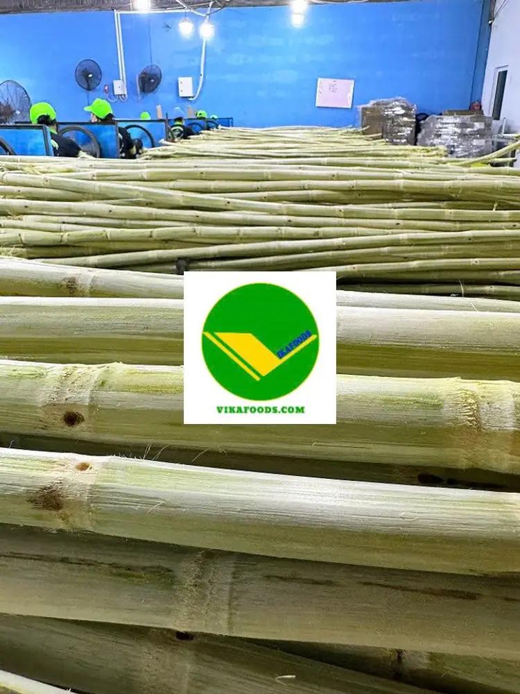 Mía cấp đông vikafoods