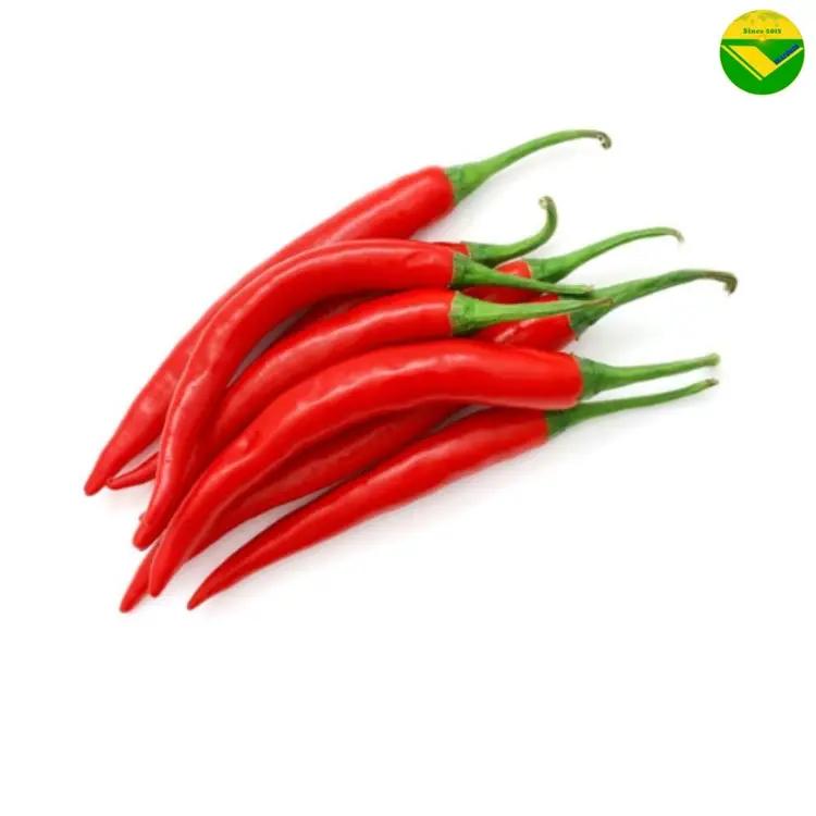 Ớt tươi vikafoods