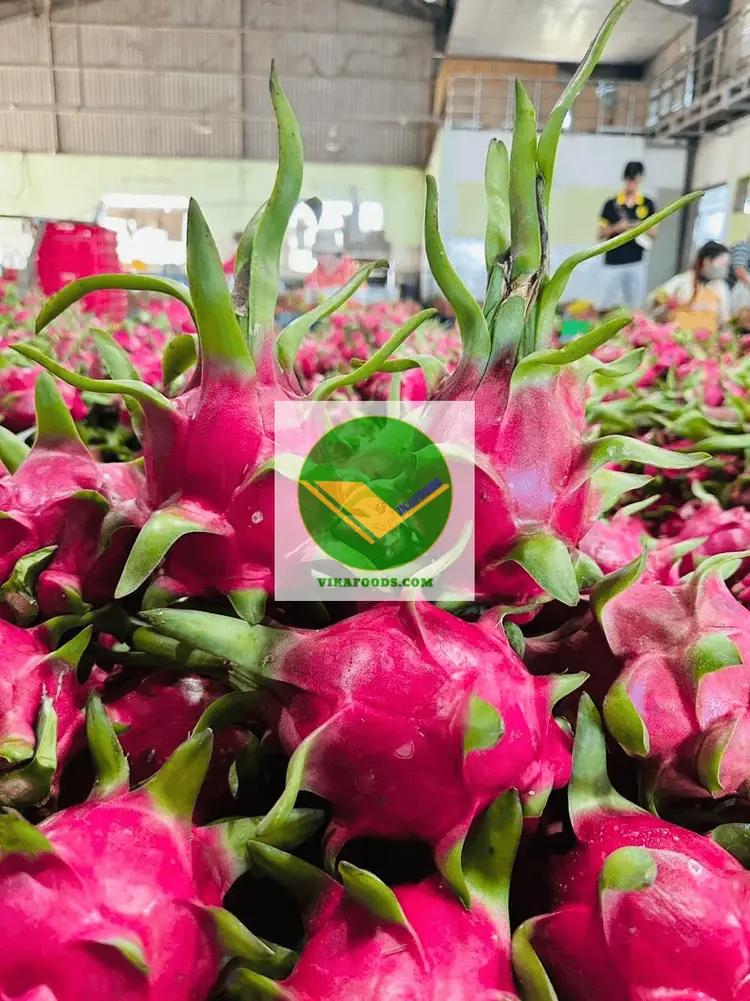 Thanh long tươi Vikafoods