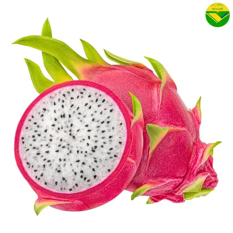 Thanh long tươi vikafoods