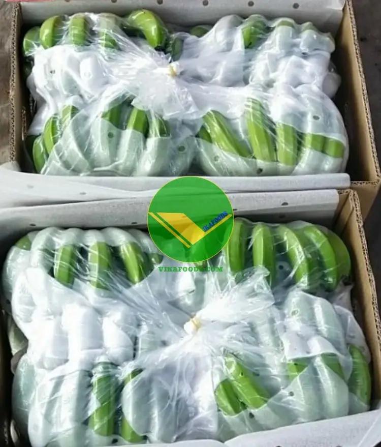 Trái chuối tươi vikafoods