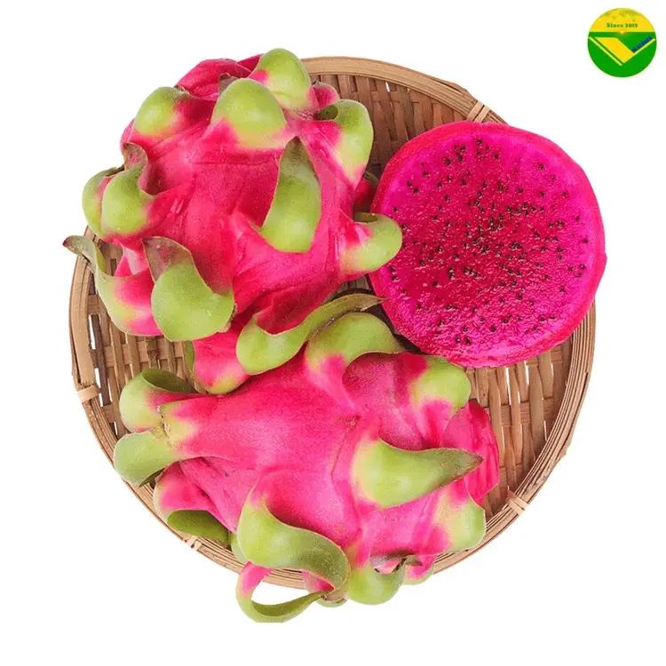 Trái Thanh long tươi Vikafoods