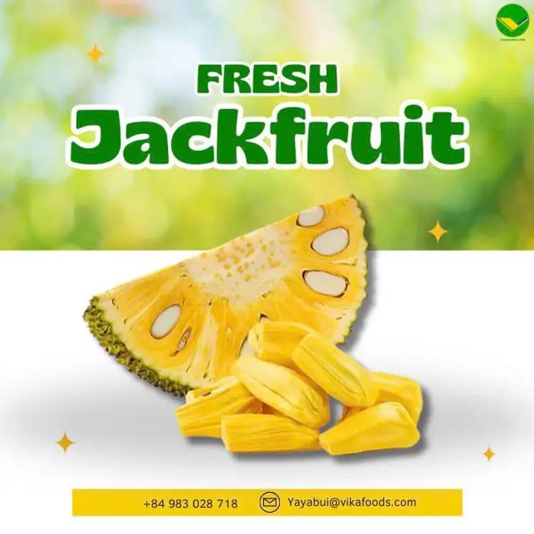 Vikafoods cung cấp mít thơm ngon