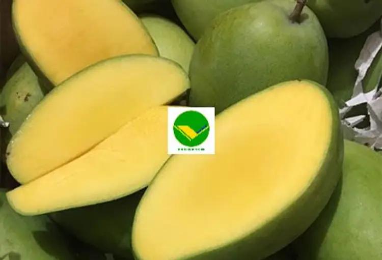 Xoài tươi ngon Vikafoods