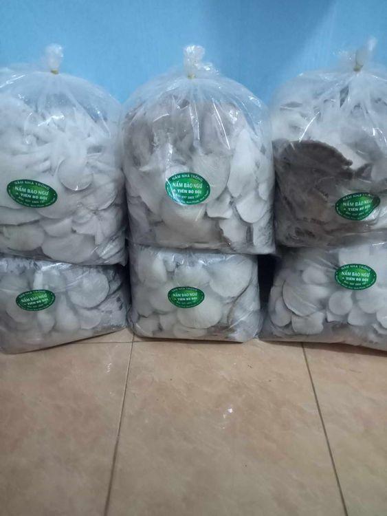 Nấm bào ngư xám