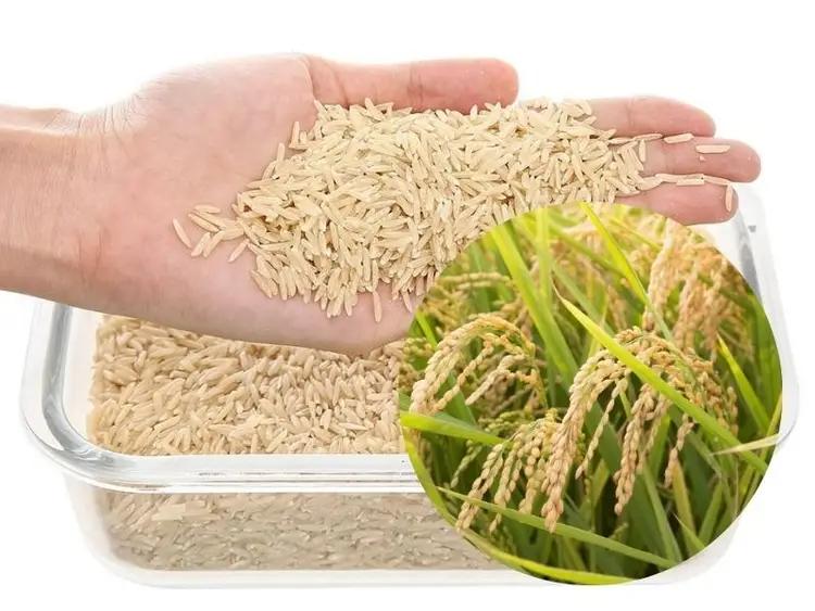 Gạo lứt nguyên cám - Hướng dẫn nấu cơm gạo lứt