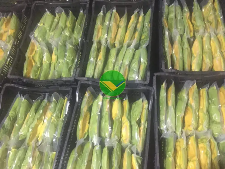 Bơ đông lạnh Vikafoods 