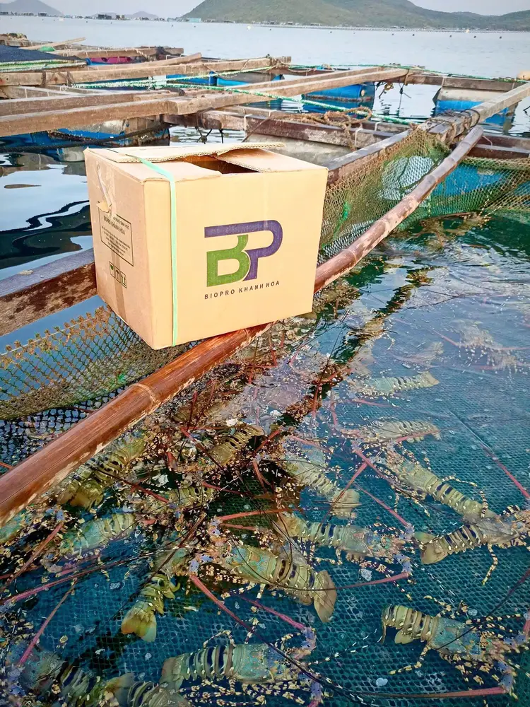 BP TOP – MEN VI SINH XỬ LÝ ĐÁY AO TÔM CÁ, PHÂN HỦY 