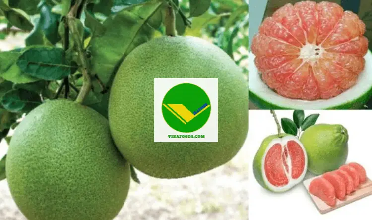 Bưởi tươi ngon Vikafoods 