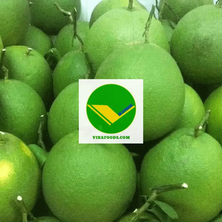 Bưởi tươi ngon Vikafoods 