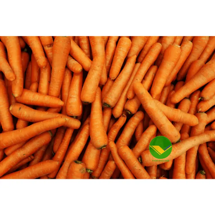 Cà rốt tươi vikafoods 