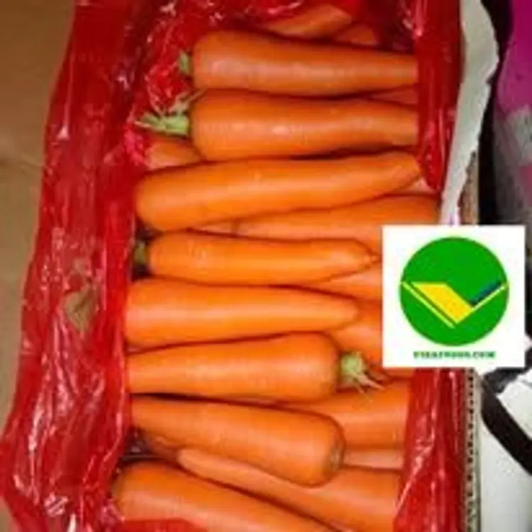 Cà rốt tươi vikafoods 