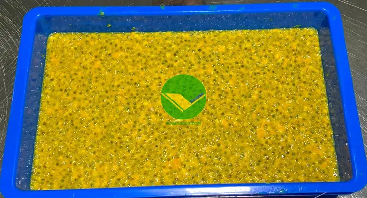 Chanh Dây đông lạnh Vikafoods 