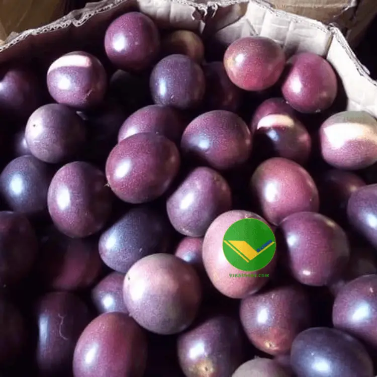 Chanh dây vikafoods 