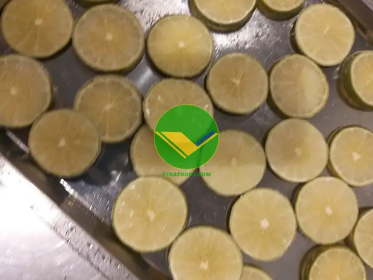 Chanh không hạt đông lạnh vikafoods 