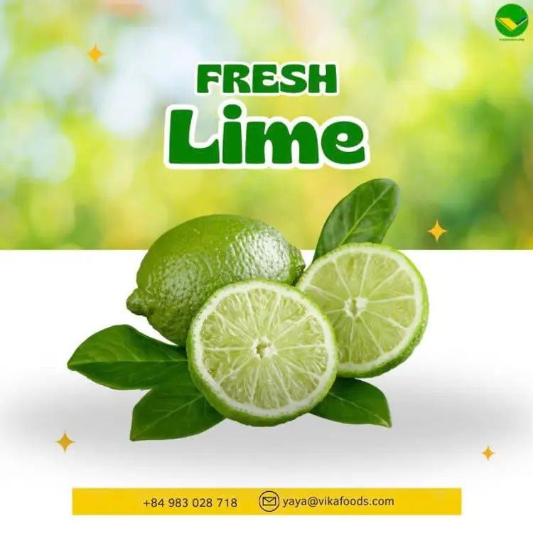 Chanh không hạt tươi mát Vikafoods 