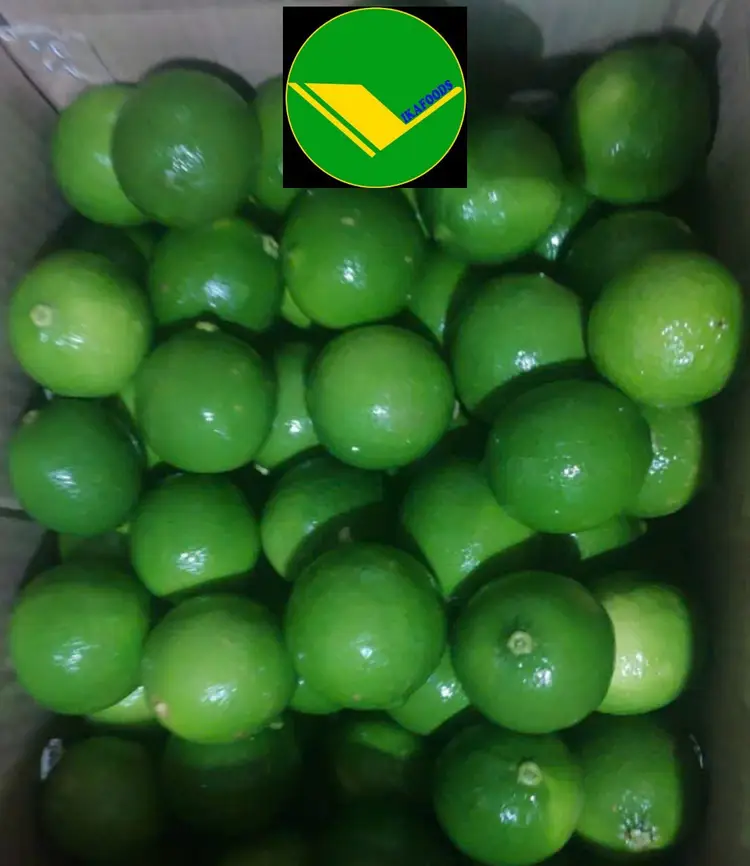 Chanh không hạt vikafoods 