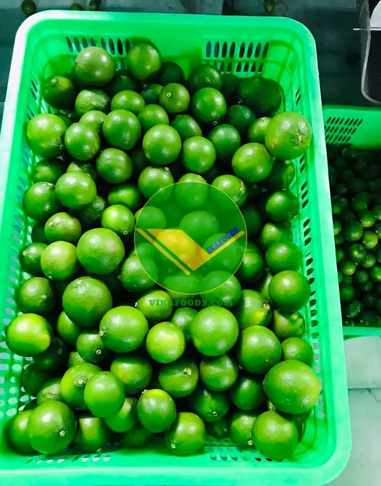 Chanh không hạt Vikafoods 