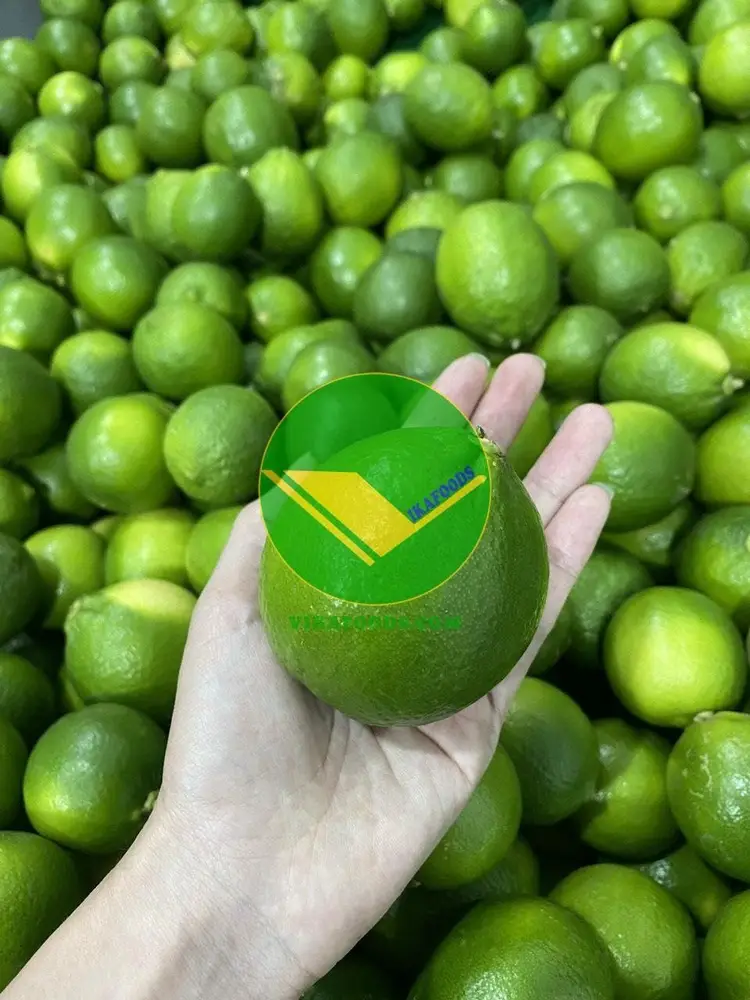 Chanh không hạt Vikafoods 