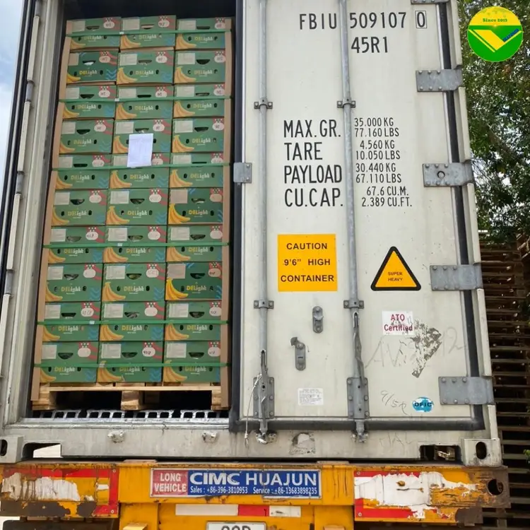 Chuối già Nam Mỹ Vikafoods 