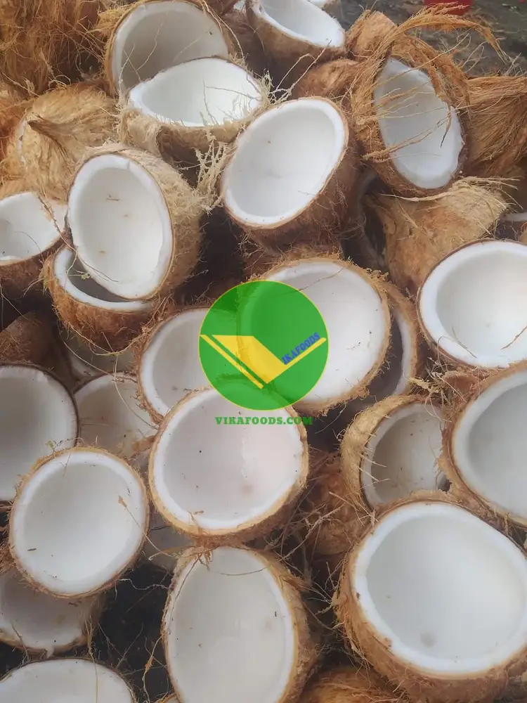 Cơm dừa đông lạnh 