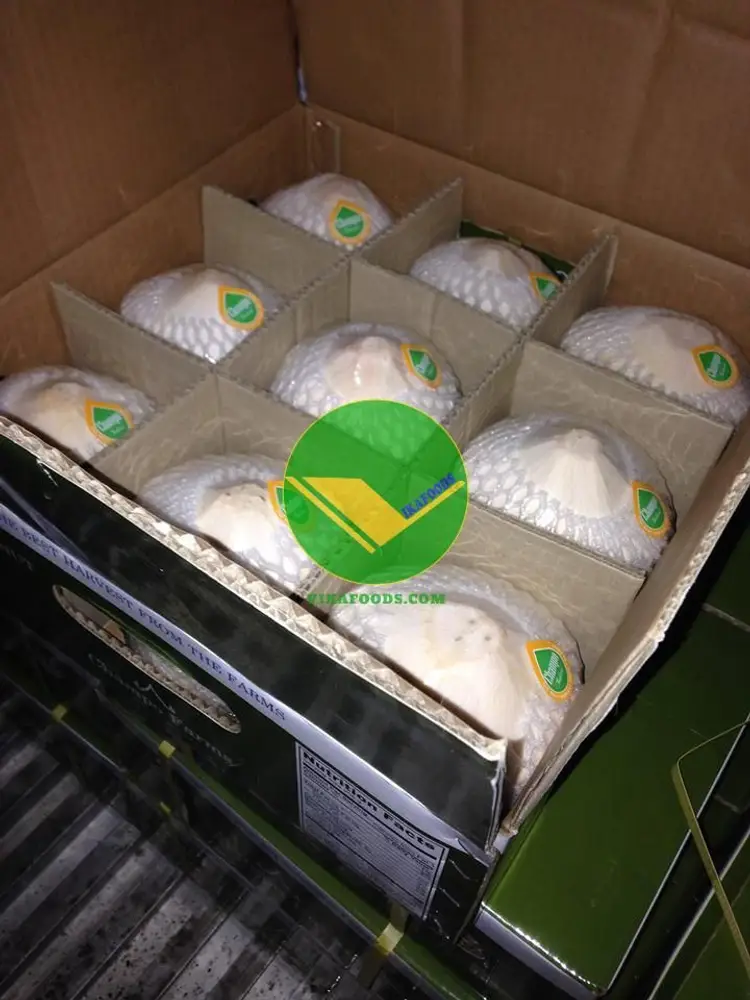Cơm Dừa đông lạnh Vikafoods 