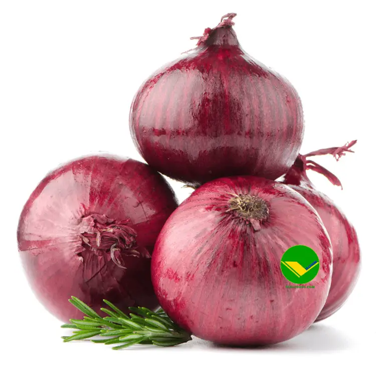 Củ hành tím vikafoods 