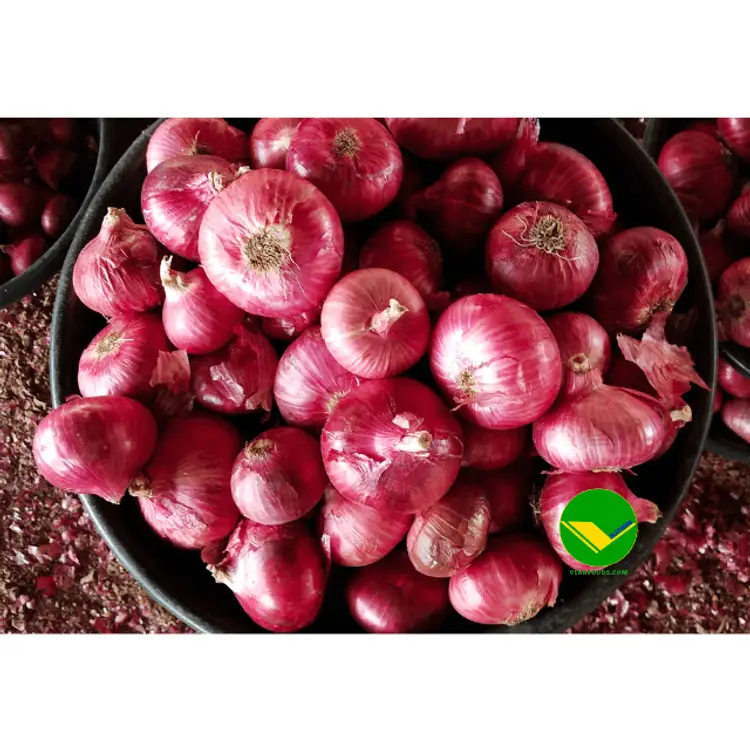 Củ hành tím vikafoods 