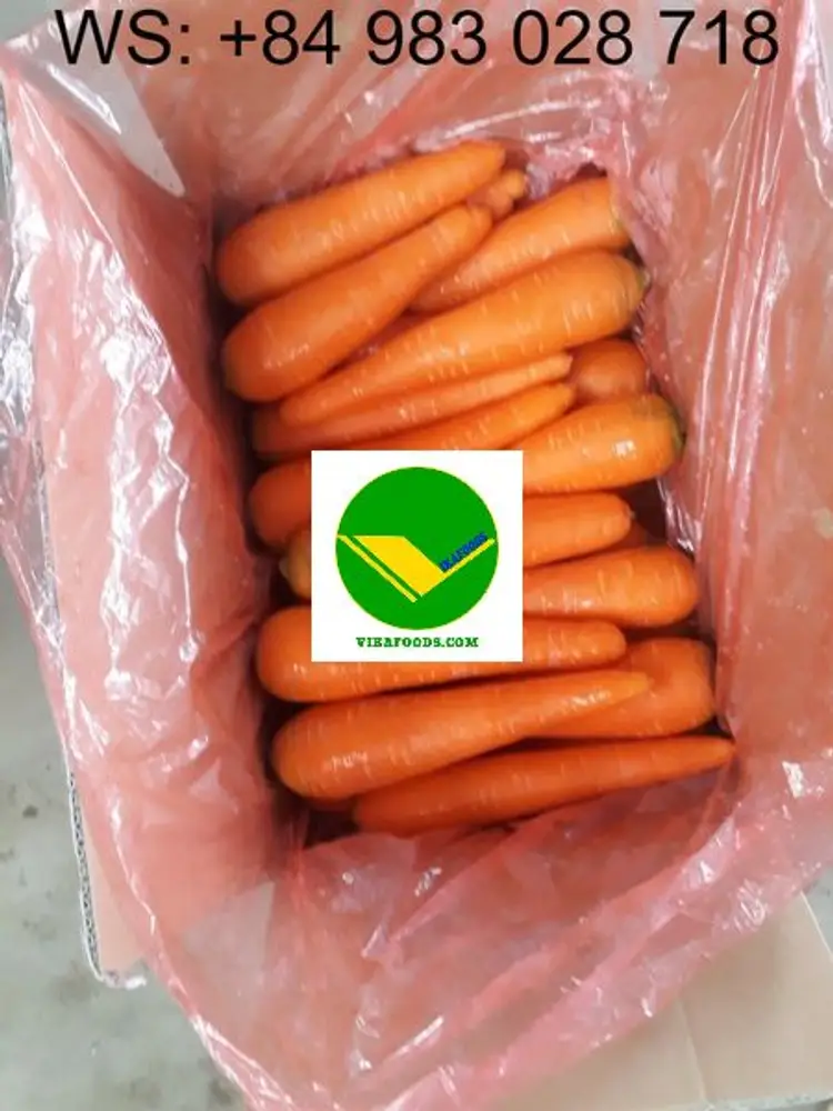 Cung cấp cà rốt tươi ngon 