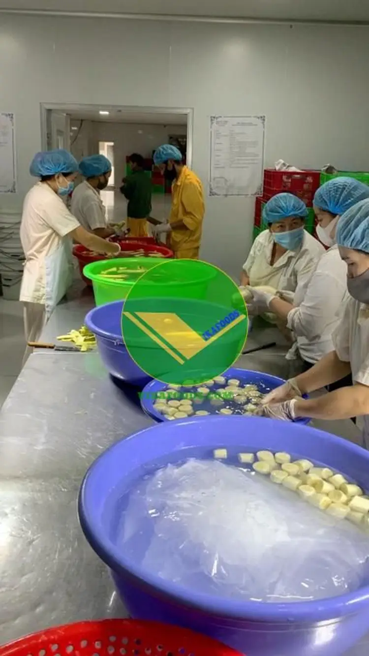 Vikafoods cung cấp trái chuối đông lạnh 