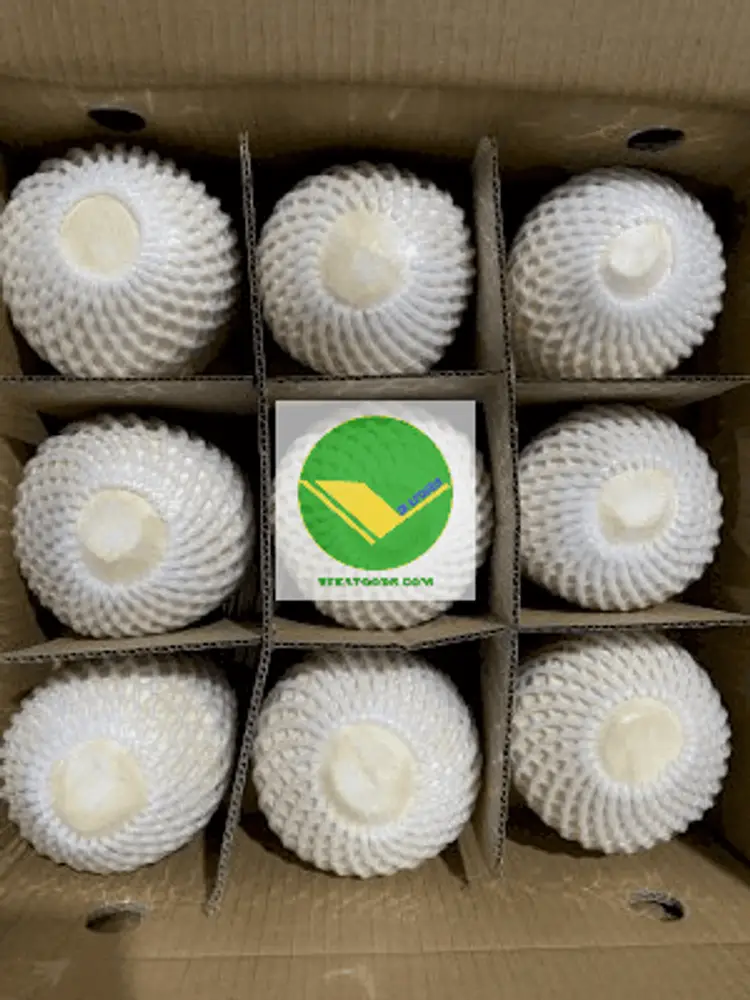 Cung cấp Dừa gọt kim cương  
