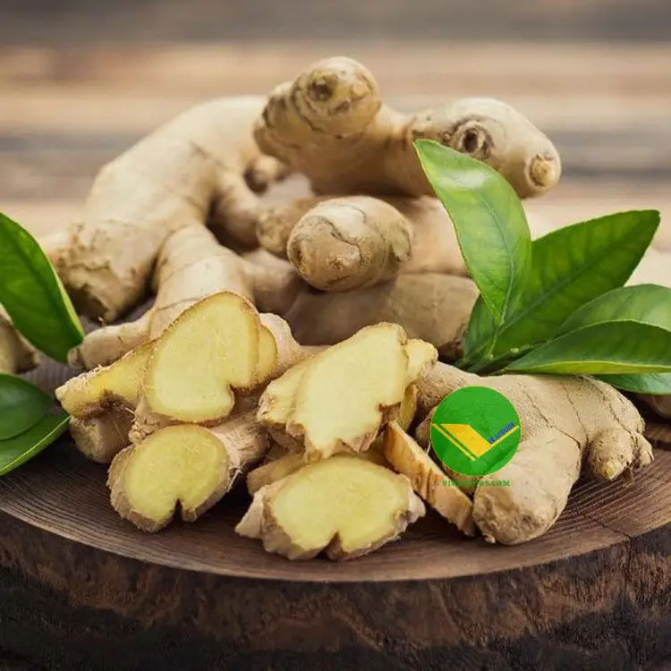 Cung cấp gừng tươi Vikafoods 
