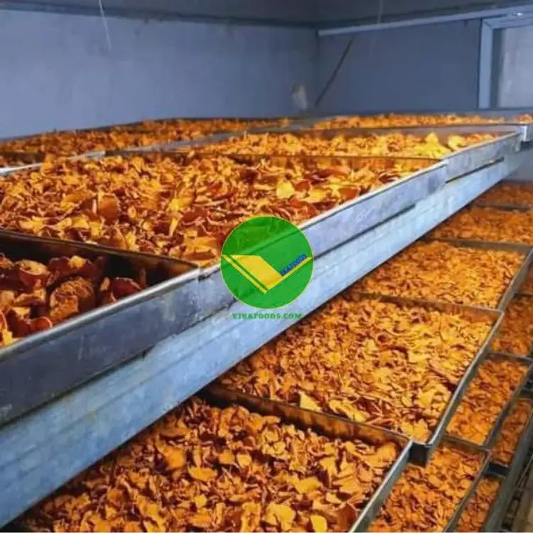 Cụng cấp nghệ sấy khô Vikafoods 